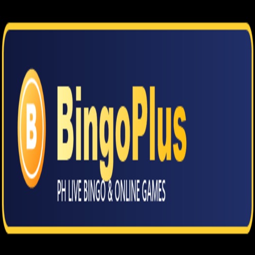 bingoplus fit